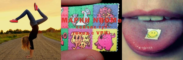 PSILOCYBIN Богданович