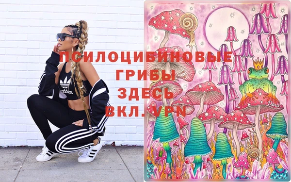 MDMA Богородицк