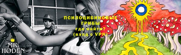 PSILOCYBIN Богданович