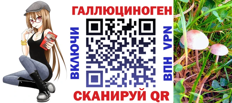 где продают наркотики  mega tor  Галлюциногенные грибы Psilocybine cubensis  Онега 